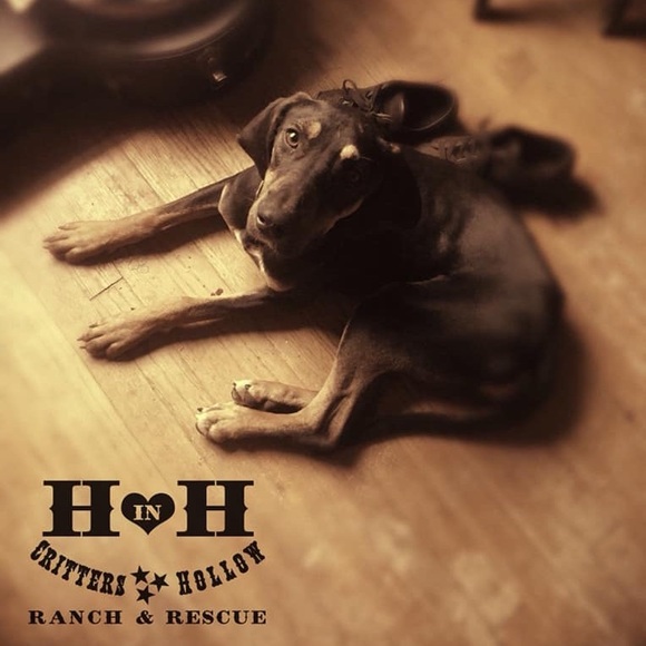 Cute B TRU strapless checkered Tunic - Picture 6 of 6